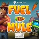 Fuel the Mule